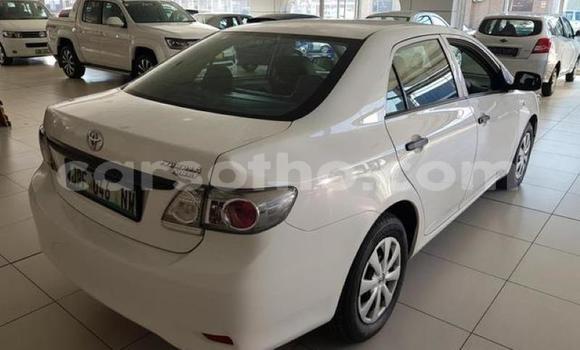 Sayi Na hannu Toyota Corolla White Mota in Maseru a Maseru Sayi Na hannu Toyota Corolla White Mota in Maseru a Maseru