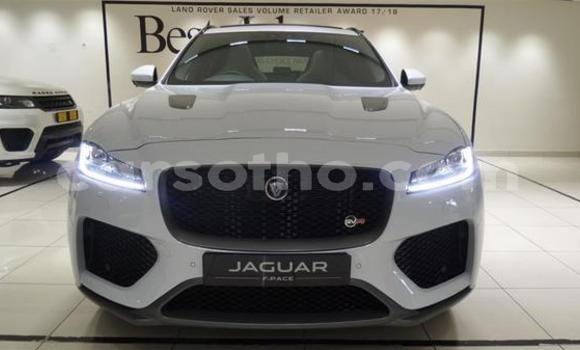 Sayi Na hannu Jaguar F-Pace White Mota in Maputsoe a Leribe Sayi Na hannu Jaguar F-Pace White Mota in Maputsoe a Leribe