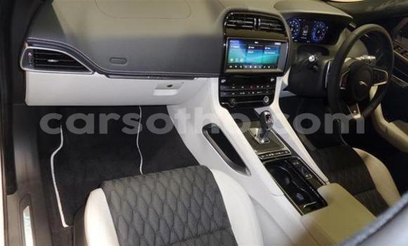 Sayi Na hannu Jaguar F-Pace White Mota in Maputsoe a Leribe Sayi Na hannu Jaguar F-Pace White Mota in Maputsoe a Leribe