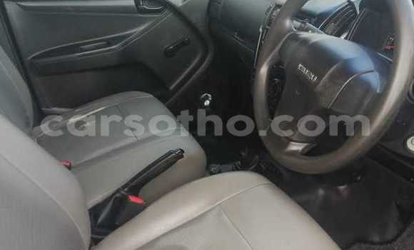 اشتري مستعمل Isuzu KB White سيارة في Maputsoa في Leribe اشتري مستعمل Isuzu KB White سيارة في Maputsoa في Leribe