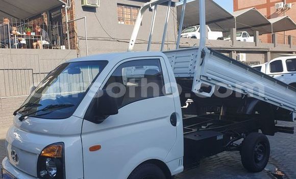اشتري مستعمل Hyundai H200 White سيارة في Maputsoa في Leribe اشتري مستعمل Hyundai H200 White سيارة في Maputsoa في Leribe