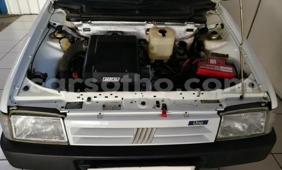 اشتري مستعمل Fiat Uno White سيارة في Maseru في Maseru اشتري مستعمل Fiat Uno White سيارة في Maseru في Maseru