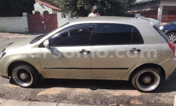 Acheter Occasion Voiture Toyota Runx Autre à Maseru, Maseru Acheter Occasion Voiture Toyota Runx Autre à Maseru, Maseru