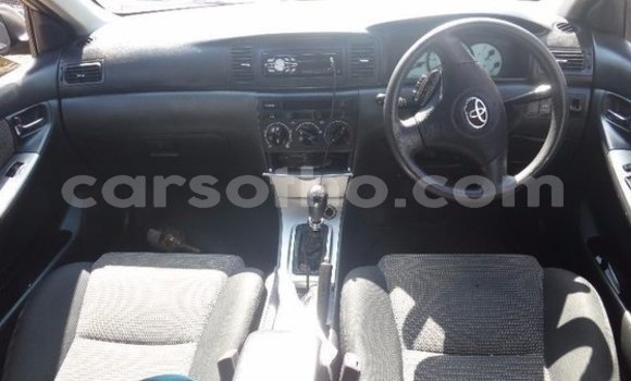 Acheter Occasion Voiture Toyota Runx Autre à Maseru, Maseru Acheter Occasion Voiture Toyota Runx Autre à Maseru, Maseru