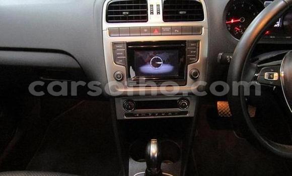 اشتري مستعمل Volkswagen Polo Red سيارة في Hlotse في Leribe اشتري مستعمل Volkswagen Polo Red سيارة في Hlotse في Leribe