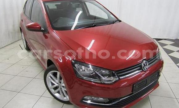 اشتري مستعمل Volkswagen Polo Red سيارة في Hlotse في Leribe اشتري مستعمل Volkswagen Polo Red سيارة في Hlotse في Leribe