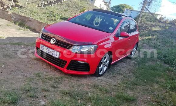 Buy Used Volkswagen Polo Red Car in Hlotse in Leribe Buy Used Volkswagen Polo Red Car in Hlotse in Leribe