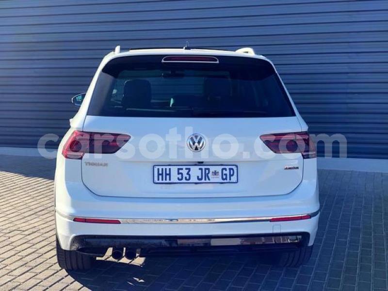 Big with watermark x6