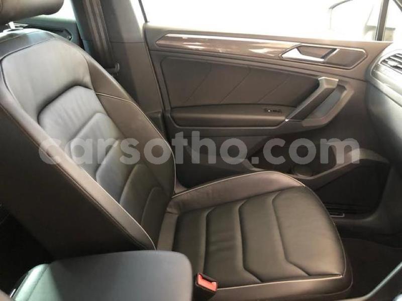 Big with watermark x9