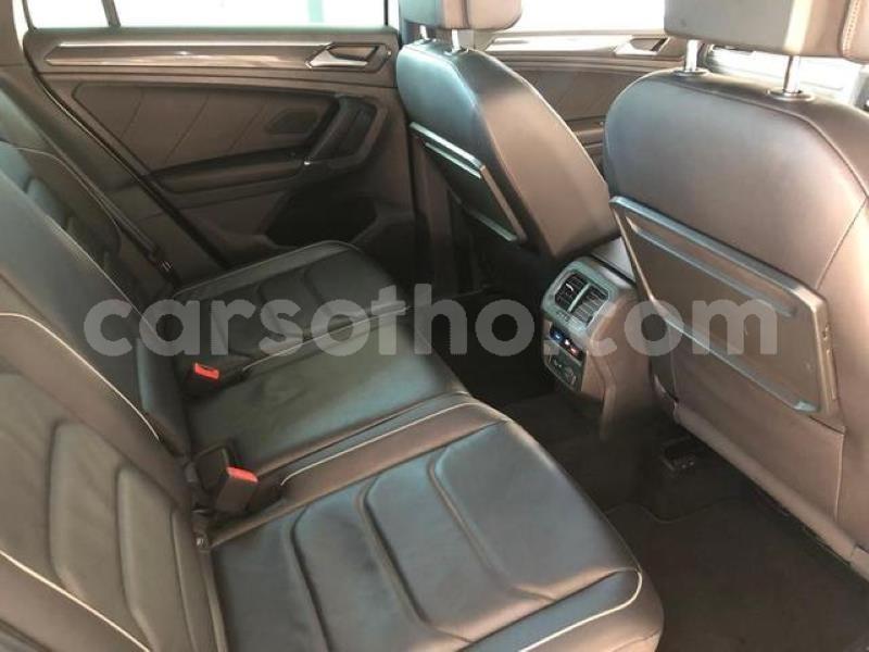 Big with watermark x11