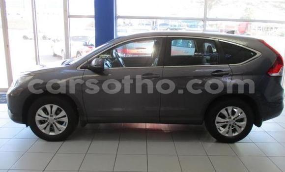 Buy Used Nissan Silvia Silver Car in Hlotse in Leribe Buy Used Nissan Silvia Silver Car in Hlotse in Leribe