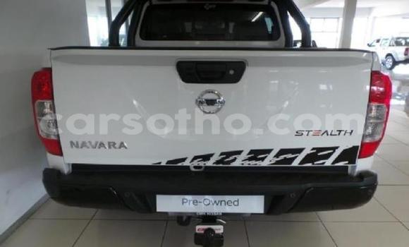 اشتري مستعمل Nissan Navara White سيارة في Maseru في Maseru اشتري مستعمل Nissan Navara White سيارة في Maseru في Maseru
