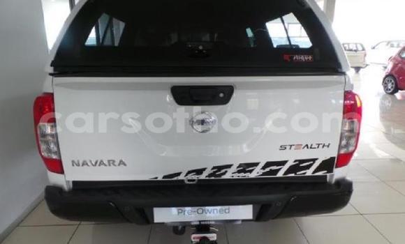 اشتري مستعمل Nissan Navara White سيارة في Maseru في Maseru اشتري مستعمل Nissan Navara White سيارة في Maseru في Maseru