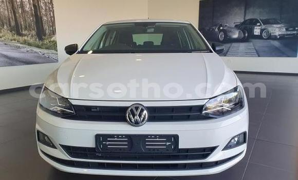 اشتري مستعمل Volkswagen Polo White سيارة في Maseru في Maseru اشتري مستعمل Volkswagen Polo White سيارة في Maseru في Maseru
