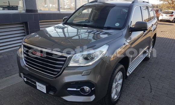 اشتري مستعمل Haval H9 Other سيارة في Maseru في Maseru اشتري مستعمل Haval H9 Other سيارة في Maseru في Maseru