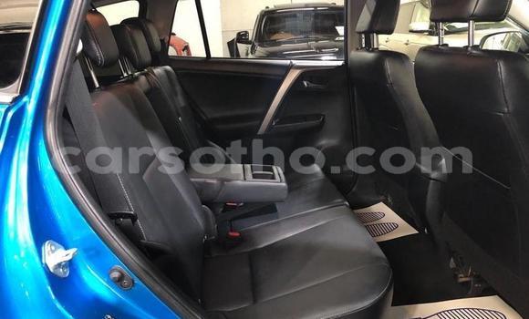 Buy Used Toyota RAV4 Blue Car in Butha Buthe in Butha-Buthe Buy Used Toyota RAV4 Blue Car in Butha Buthe in Butha-Buthe