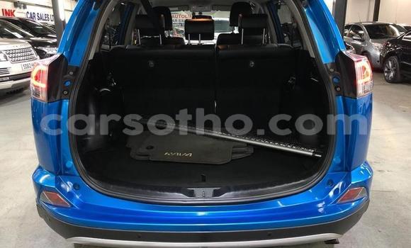 Buy Used Toyota RAV4 Blue Car in Butha Buthe in Butha-Buthe Buy Used Toyota RAV4 Blue Car in Butha Buthe in Butha-Buthe