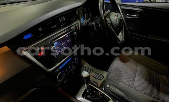 Buy Used Toyota Auris Silver Car in Quthing in Butha-Buthe Buy Used Toyota Auris Silver Car in Quthing in Butha-Buthe