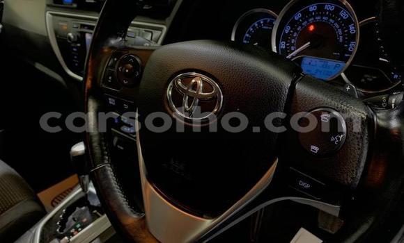Buy Used Toyota Auris Silver Car in Quthing in Butha-Buthe Buy Used Toyota Auris Silver Car in Quthing in Butha-Buthe