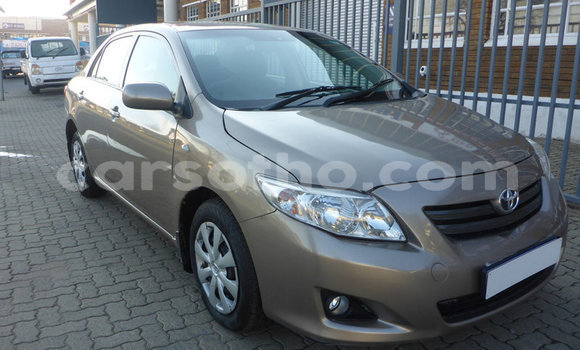 Buy Used Toyota Corolla Silver Car in Maseru in Maseru Buy Used Toyota Corolla Silver Car in Maseru in Maseru