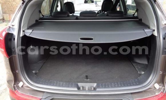 Sayi Na hannu Kia Sportage Brown Mota in Thaba–Tseka a Mafeteng Sayi Na hannu Kia Sportage Brown Mota in Thaba–Tseka a Mafeteng