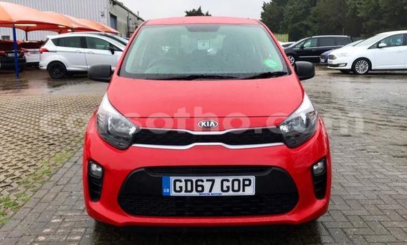 Sayi Na hannu Kia Picanto Red Mota in Quthing a Butha-Buthe Sayi Na hannu Kia Picanto Red Mota in Quthing a Butha-Buthe