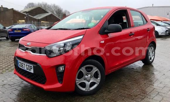 Sayi Na hannu Kia Picanto Red Mota in Quthing a Butha-Buthe Sayi Na hannu Kia Picanto Red Mota in Quthing a Butha-Buthe