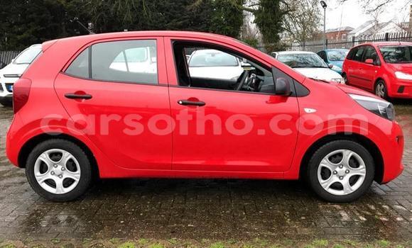 Sayi Na hannu Kia Picanto Red Mota in Quthing a Butha-Buthe Sayi Na hannu Kia Picanto Red Mota in Quthing a Butha-Buthe