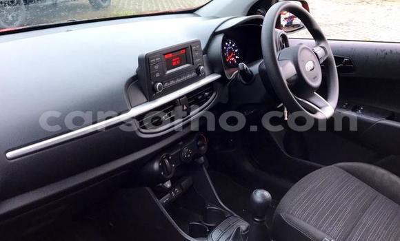 Sayi Na hannu Kia Picanto Red Mota in Quthing a Butha-Buthe Sayi Na hannu Kia Picanto Red Mota in Quthing a Butha-Buthe