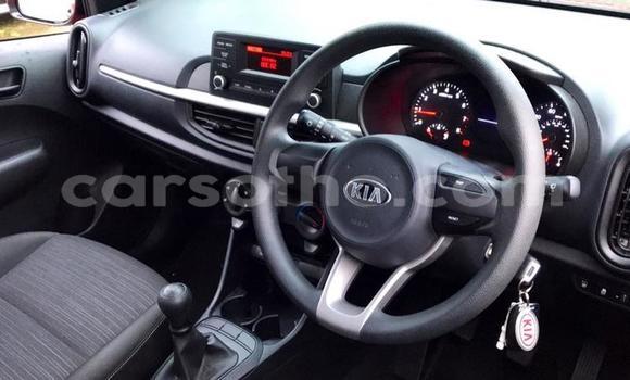 Sayi Na hannu Kia Picanto Red Mota in Quthing a Butha-Buthe Sayi Na hannu Kia Picanto Red Mota in Quthing a Butha-Buthe