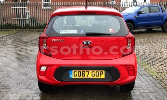 Sayi Na hannu Kia Picanto Red Mota in Quthing a Butha-Buthe Sayi Na hannu Kia Picanto Red Mota in Quthing a Butha-Buthe