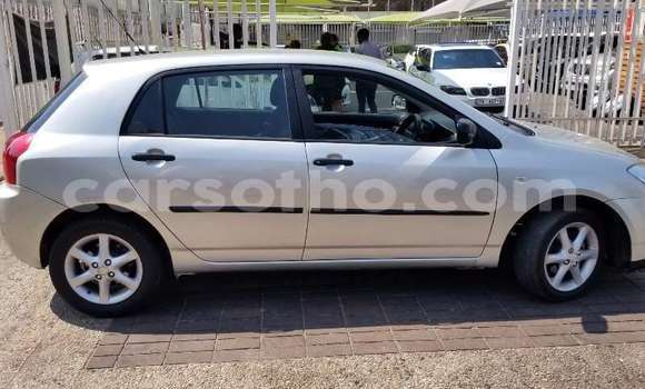 Sayi Na hannu Toyota Runx Other Mota in Butha–Buthe a Thaba-Tseka Sayi Na hannu Toyota Runx Other Mota in Butha–Buthe a Thaba-Tseka