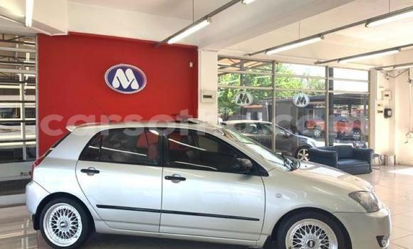 Acheter Occasion Voiture Toyota Runx Autre à Butha–Buthe, Thaba-Tseka Acheter Occasion Voiture Toyota Runx Autre à Butha–Buthe, Thaba-Tseka