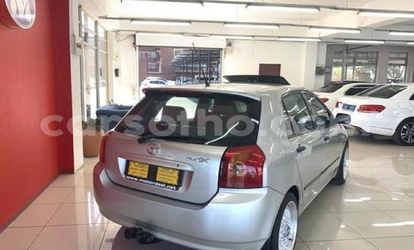 Acheter Occasion Voiture Toyota Runx Autre à Butha–Buthe, Thaba-Tseka Acheter Occasion Voiture Toyota Runx Autre à Butha–Buthe, Thaba-Tseka