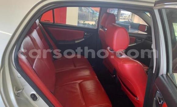 Acheter Occasion Voiture Toyota Runx Autre à Butha–Buthe, Thaba-Tseka Acheter Occasion Voiture Toyota Runx Autre à Butha–Buthe, Thaba-Tseka