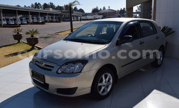 اشتري مستعمل Toyota Runx Other سيارة في Butha–Buthe في Thaba-Tseka اشتري مستعمل Toyota Runx Other سيارة في Butha–Buthe في Thaba-Tseka