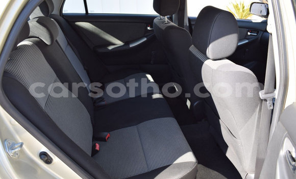 اشتري مستعمل Toyota Runx Other سيارة في Butha–Buthe في Thaba-Tseka اشتري مستعمل Toyota Runx Other سيارة في Butha–Buthe في Thaba-Tseka