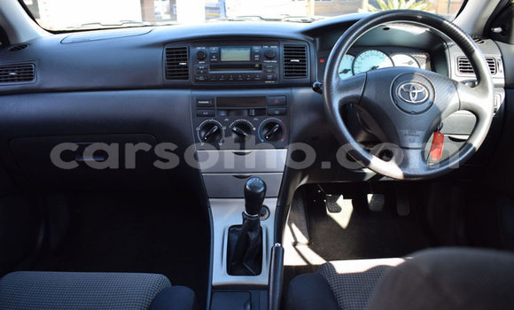 اشتري مستعمل Toyota Runx Other سيارة في Butha–Buthe في Thaba-Tseka اشتري مستعمل Toyota Runx Other سيارة في Butha–Buthe في Thaba-Tseka