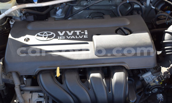 اشتري مستعمل Toyota Runx Other سيارة في Butha–Buthe في Thaba-Tseka اشتري مستعمل Toyota Runx Other سيارة في Butha–Buthe في Thaba-Tseka