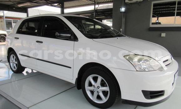 Acheter Occasion Voiture Volkswagen Golf Autre à Butha–Buthe, Thaba-Tseka Acheter Occasion Voiture Volkswagen Golf Autre à Butha–Buthe, Thaba-Tseka