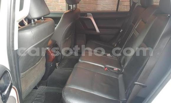 Acheter Occasion Voiture Toyota Land Cruiser Prado Blanc à Maseru, Maseru Acheter Occasion Voiture Toyota Land Cruiser Prado Blanc à Maseru, Maseru
