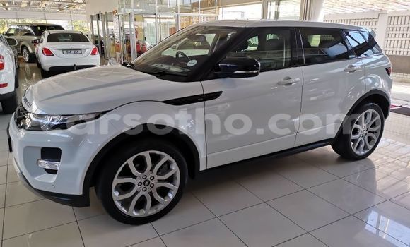 اشتري مستعمل Land Rover Range Rover Evoque White سيارة في Maputsoe في Leribe اشتري مستعمل Land Rover Range Rover Evoque White سيارة في Maputsoe في Leribe