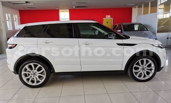 اشتري مستعمل Land Rover Range Rover Evoque White سيارة في Maputsoe في Leribe اشتري مستعمل Land Rover Range Rover Evoque White سيارة في Maputsoe في Leribe