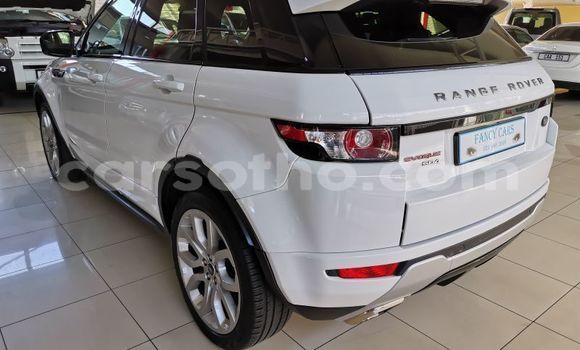 اشتري مستعمل Land Rover Range Rover Evoque White سيارة في Maputsoe في Leribe اشتري مستعمل Land Rover Range Rover Evoque White سيارة في Maputsoe في Leribe