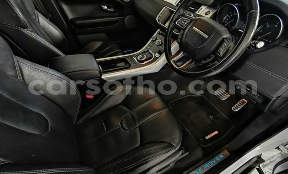 اشتري مستعمل Land Rover Range Rover Evoque White سيارة في Maputsoe في Leribe اشتري مستعمل Land Rover Range Rover Evoque White سيارة في Maputsoe في Leribe