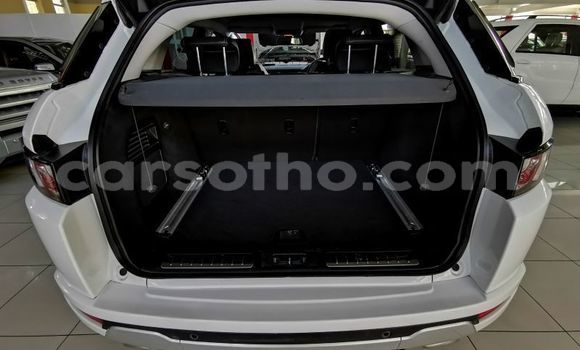 اشتري مستعمل Land Rover Range Rover Evoque White سيارة في Maputsoe في Leribe اشتري مستعمل Land Rover Range Rover Evoque White سيارة في Maputsoe في Leribe
