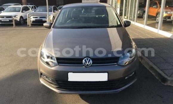 اشتري مستعمل Volkswagen Polo Silver سيارة في Hlotse في Leribe اشتري مستعمل Volkswagen Polo Silver سيارة في Hlotse في Leribe