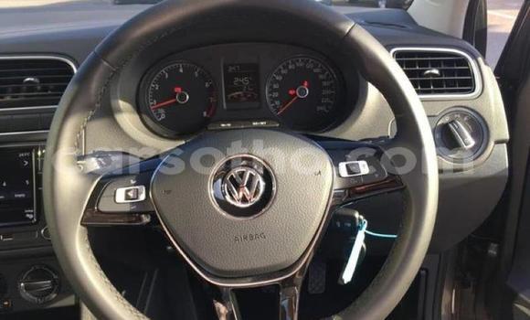 اشتري مستعمل Volkswagen Polo Silver سيارة في Hlotse في Leribe اشتري مستعمل Volkswagen Polo Silver سيارة في Hlotse في Leribe