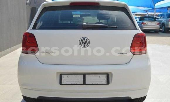 اشتري مستعمل Volkswagen Polo White سيارة في Hlotse في Leribe اشتري مستعمل Volkswagen Polo White سيارة في Hlotse في Leribe