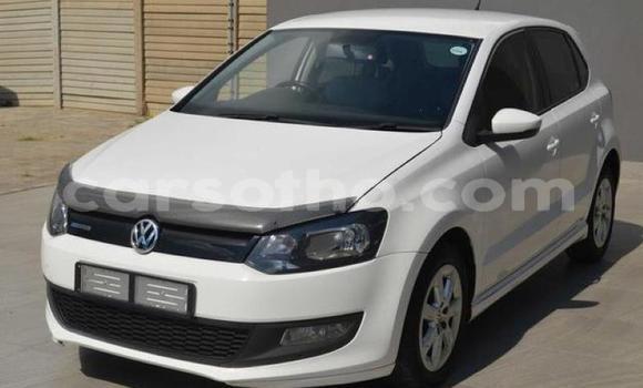 اشتري مستعمل Volkswagen Polo White سيارة في Hlotse في Leribe اشتري مستعمل Volkswagen Polo White سيارة في Hlotse في Leribe